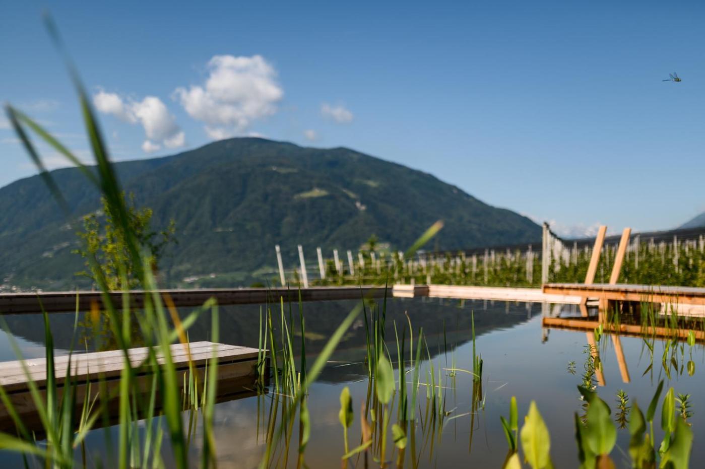 Pataunerhof Betulla Lodge Tirolo Luaran gambar