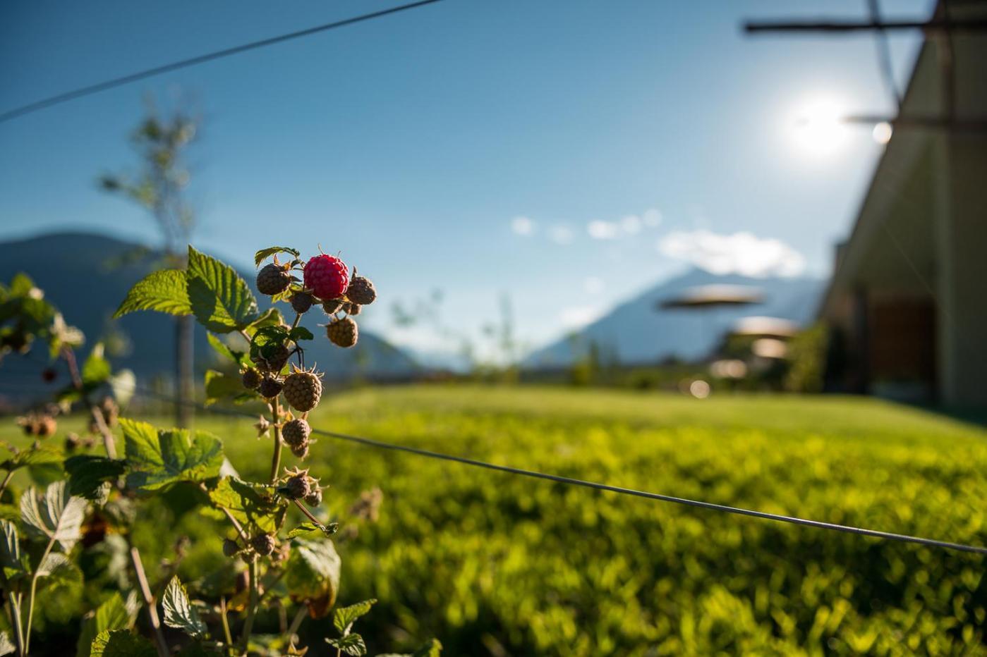 Pataunerhof Betulla Lodge Tirolo Luaran gambar